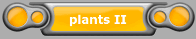 plants II
