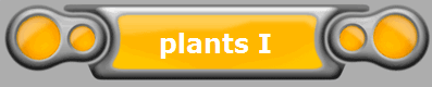 plants I