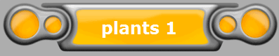 plants 1