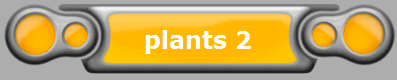 plants 2