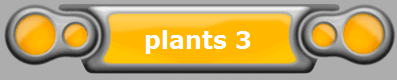 plants 3