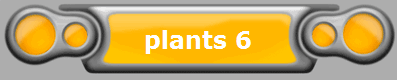 plants 6